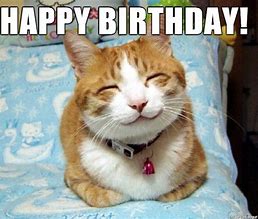 Image result for Free to Share Birthday Cat Memes Funny