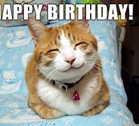 Image result for Happy Birthday Meme Cat Lover