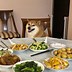 Image result for Shiba Inu Cheems