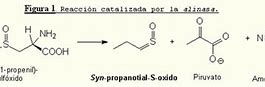 Image result for Para Que Sirve El Dimetil Sulfoxido En Genetica