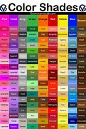 Image result for All the Colors