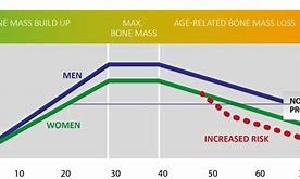 Image result for Bone Mineral Density Chart