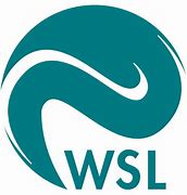 Image result for WSL Badge