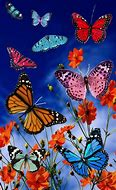 Image result for Gallery of Pink Butterflies