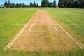 Image result for Cricket Field