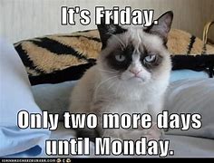 Image result for Friday Morning Grumpy Cat Memes