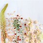 Image result for Aesthetic Flower Desktop Wallpaper Horizontal