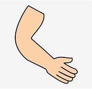 Image result for Free Clip Art of Arm