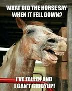 Image result for Equestrian Memes