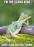 Image result for lizards meme