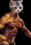 Image result for John Cena Cat