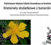 Image result for co_to_za_zwarcica