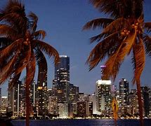 Image result for Miami vs Los Angeles Skyline