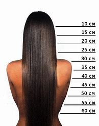 Image result for 15 Cm Hair