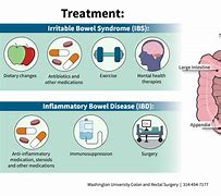 Image result for Inflammatory Bowel Disease IBD