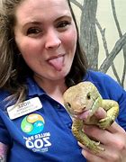 Image result for Zoo Zookeeper