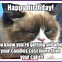 Image result for Happy Birthday Eva Memes with Cats