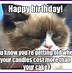 Image result for Free to Share Birthday Cat Memes Funny