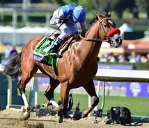 Image result for Breeders' Cup Challenge
