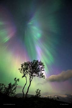 Beauty Rendezvous - Aurora borealis - Norway (via Lights over...