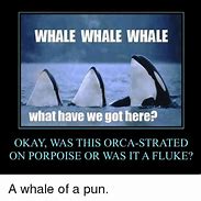 Image result for Feminist Whale Meme