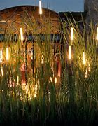 Image result for Decorative Reed Lighting
