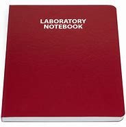 Image result for Excel Lab Notebook