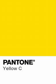 Image result for Pantone Yellow Colors