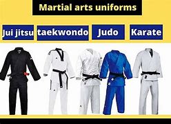 Image result for Outfits of Different Martial Arts
