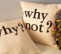 Image result for Why Not What