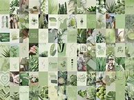 Image result for Green Aesthetic Wall