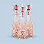 Image result for Verdi Champagne Mini Bottles
