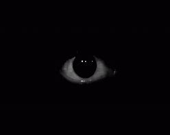 Image result for Dark Scary Eyes
