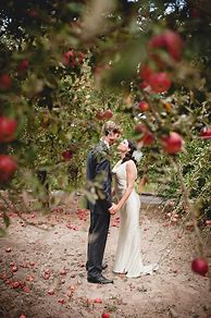 Image result for Apple Orchard Wedding