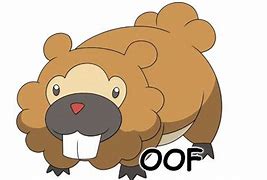 Image result for Pokemon Bidoof Meme