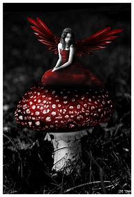 Image result for Red Fairy
