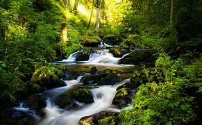 Image result for Nature Water Stream