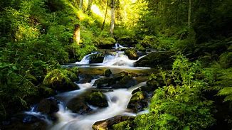 Image result for Water Stream Wallpaper