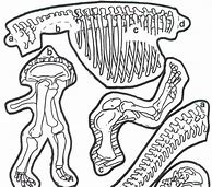 Image result for Dinosaur Skeleton Cut and Paste