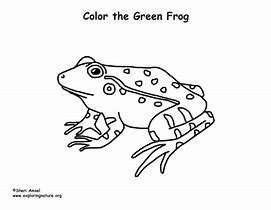 Image result for Green Frog Meme Galaxy