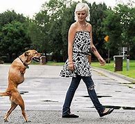 Image result for Faith Dog