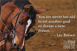Image result for Great Horse Quotes
