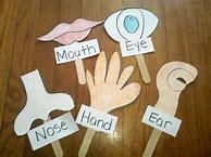 Image result for 5 Senses Worksheet for Toddlers