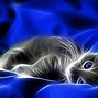 Image result for Abstract Cat Wallpaper