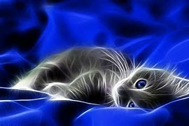 Image result for Abstract Cat Wallpaper