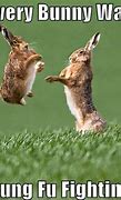 Image result for Funny Baby Bunny Memes