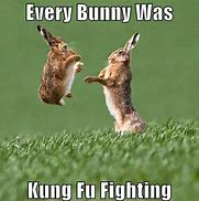 Image result for iPhone Bunny Meme