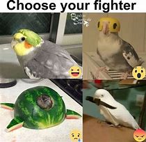 Image result for Banana Bird Meme