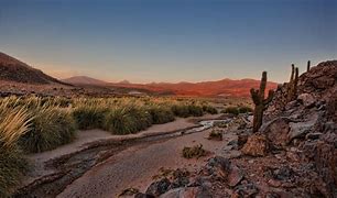 Image result for Mojave Desert Background
