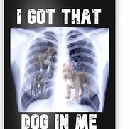 Image result for That Dog in Me